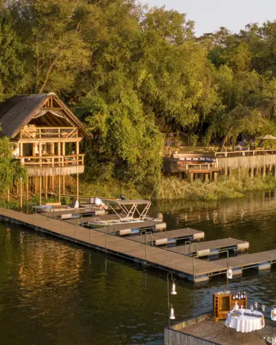14 Night Ultimate Green Safari